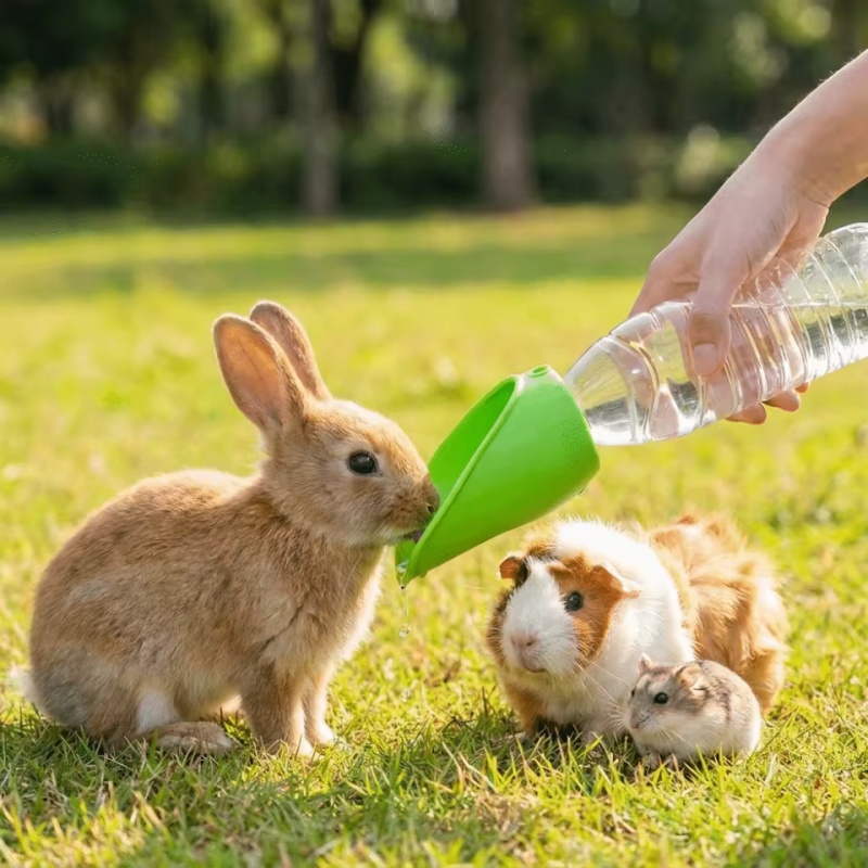 Dog cat Travel Water Bottle  P - Water Bag Collapsible reseña y precio
